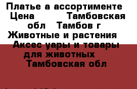 Платье а ассортименте › Цена ­ 250 - Тамбовская обл., Тамбов г. Животные и растения » Аксесcуары и товары для животных   . Тамбовская обл.